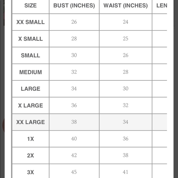 ❌SOLD❌ Ivy City Co BNWT Roselyn dress size XXL - Picture 7 of 7